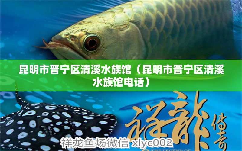 昆明市晉寧區(qū)清溪水族館（昆明市晉寧區(qū)清溪水族館電話）