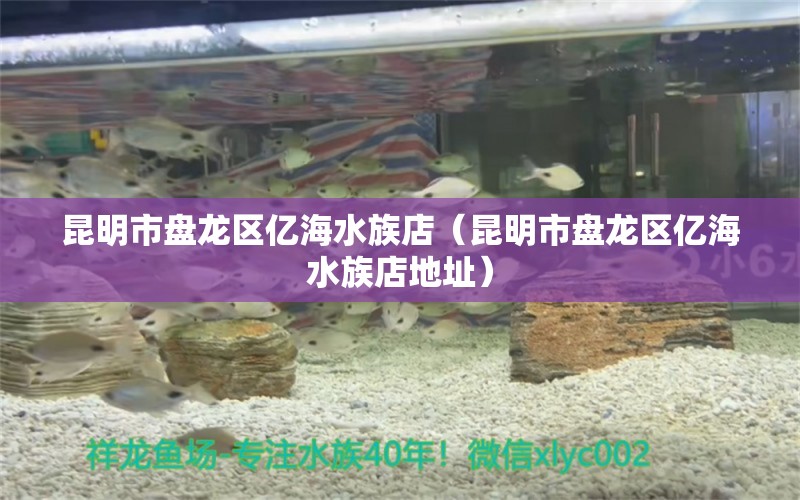 昆明市盤龍區(qū)億海水族店（昆明市盤龍區(qū)億海水族店地址）