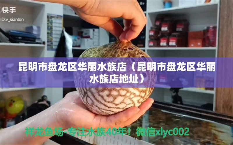 昆明市盤龍區(qū)華麗水族店（昆明市盤龍區(qū)華麗水族店地址） 全國(guó)水族館企業(yè)名錄