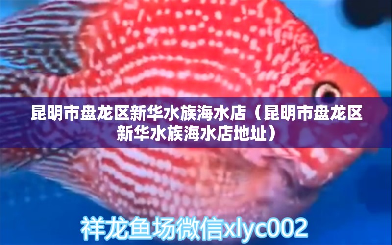 昆明市盤龍區(qū)新華水族海水店（昆明市盤龍區(qū)新華水族海水店地址）