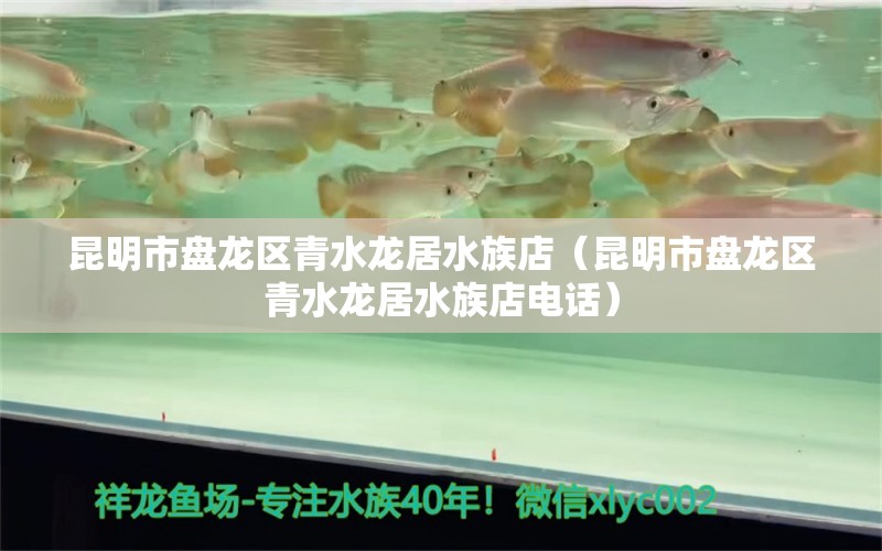 昆明市盤龍區(qū)青水龍居水族店（昆明市盤龍區(qū)青水龍居水族店電話） 全國水族館企業(yè)名錄