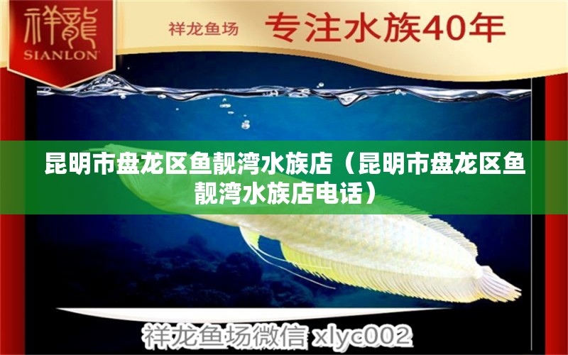 昆明市盤龍區(qū)魚靚灣水族店（昆明市盤龍區(qū)魚靚灣水族店電話）