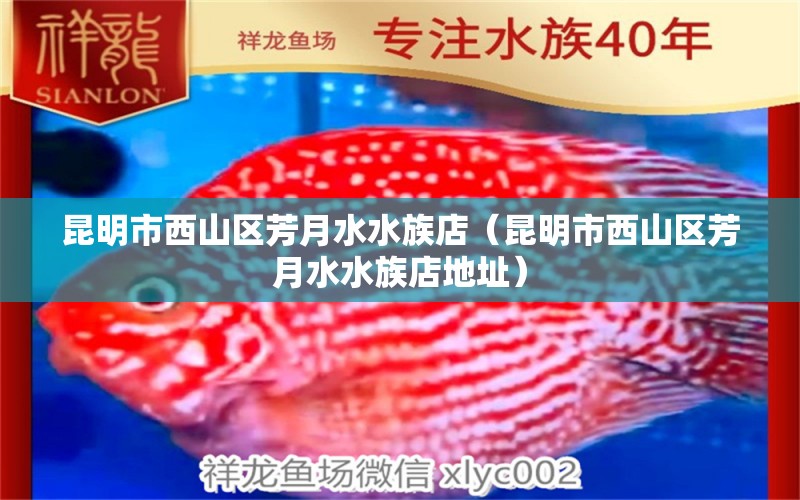 昆明市西山區(qū)芳月水水族店（昆明市西山區(qū)芳月水水族店地址）