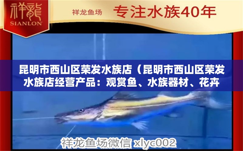 昆明市西山區(qū)榮發(fā)水族店（昆明市西山區(qū)榮發(fā)水族店經(jīng)營產(chǎn)品：觀賞魚、水族器材、花卉 全國觀賞魚市場 第2張