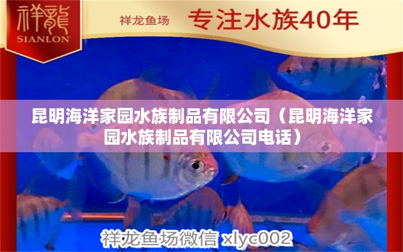 昆明海洋家園水族制品有限公司（昆明海洋家園水族制品有限公司電話）