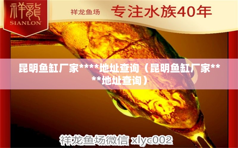 昆明魚缸廠家****地址查詢（昆明魚缸廠家****地址查詢）