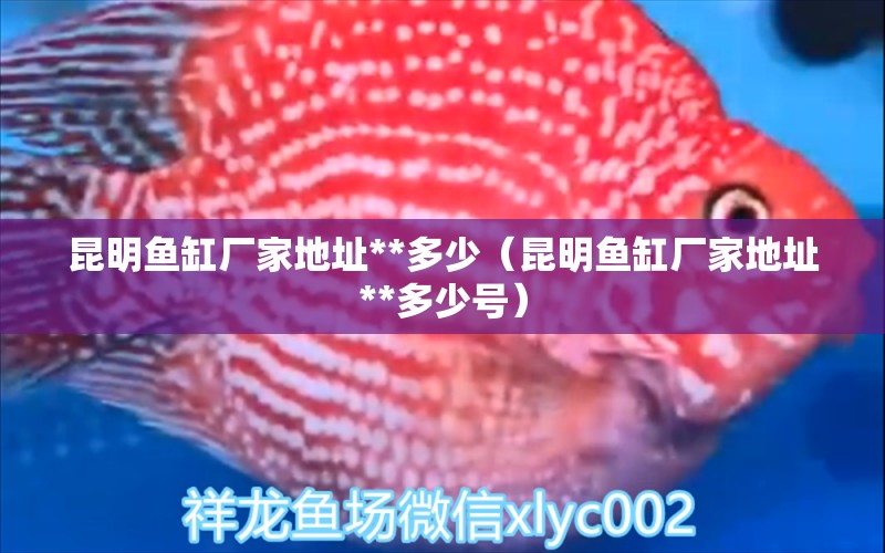 昆明魚缸廠家地址**多少（昆明魚缸廠家地址**多少號(hào)）