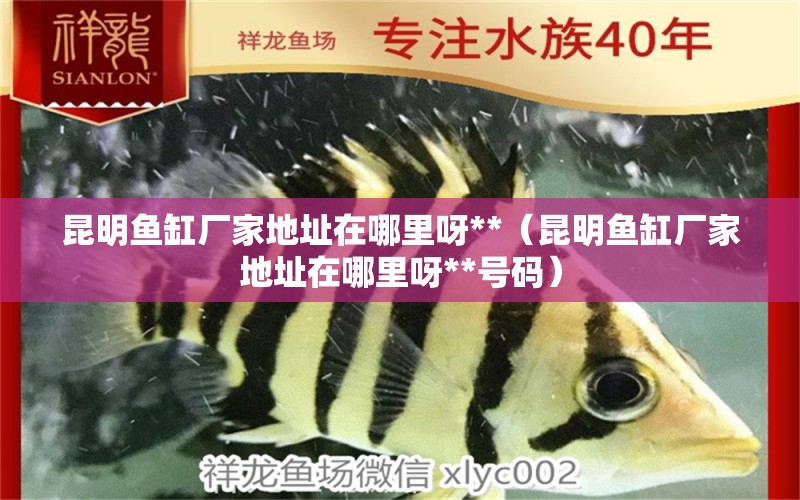 昆明魚缸廠家地址在哪里呀**（昆明魚缸廠家地址在哪里呀**號(hào)碼）