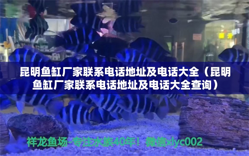 昆明魚缸廠家聯(lián)系電話地址及電話大全（昆明魚缸廠家聯(lián)系電話地址及電話大全查詢）