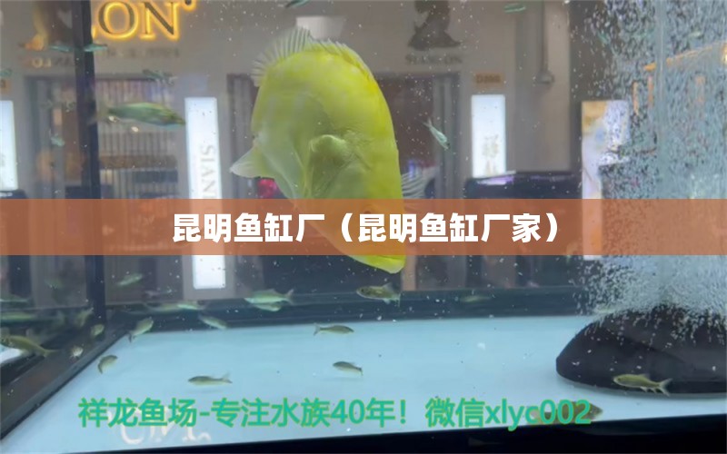 昆明魚(yú)缸廠（昆明魚(yú)缸廠家）