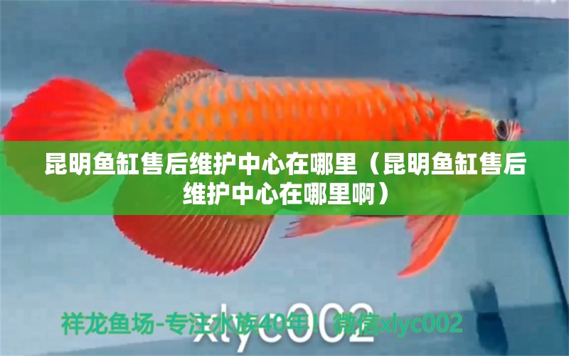 昆明魚缸售后維護(hù)中心在哪里（昆明魚缸售后維護(hù)中心在哪里?。?其他品牌魚缸