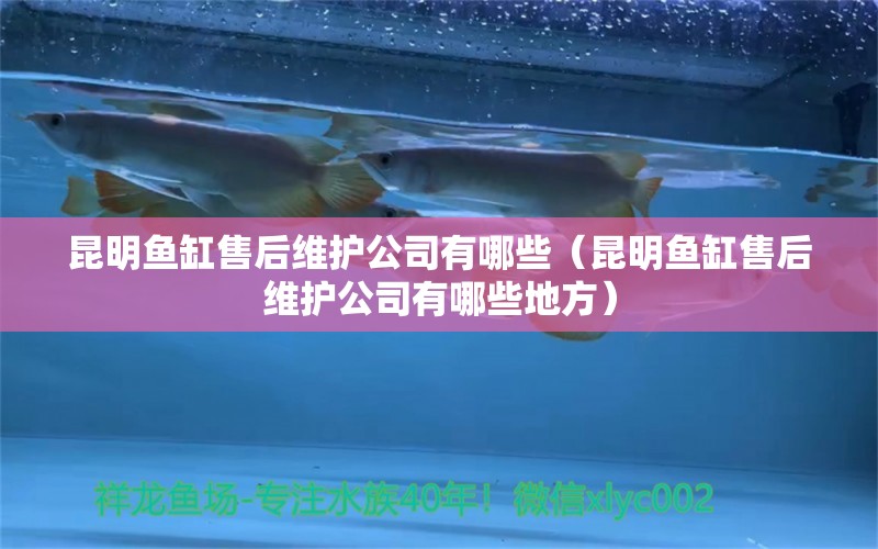 昆明魚缸售后維護公司有哪些（昆明魚缸售后維護公司有哪些地方） 其他品牌魚缸