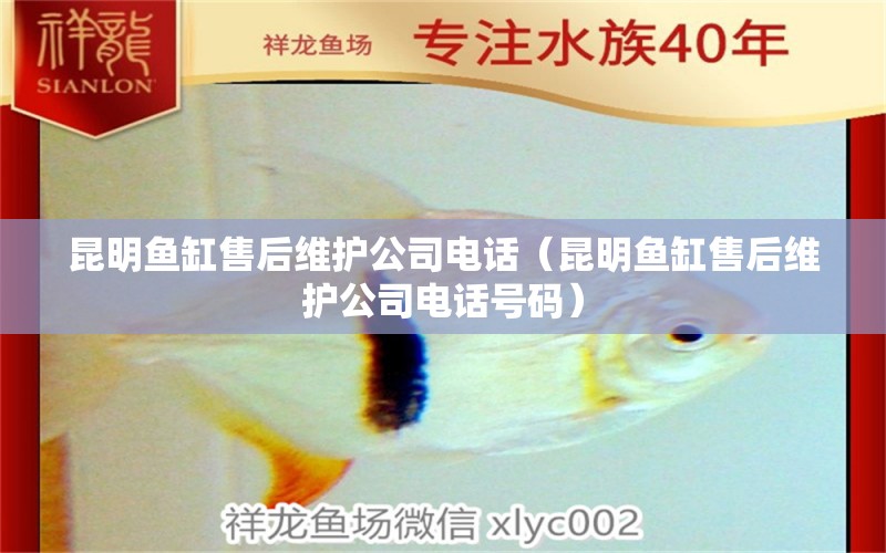 昆明魚缸售后維護公司電話（昆明魚缸售后維護公司電話號碼） 其他品牌魚缸