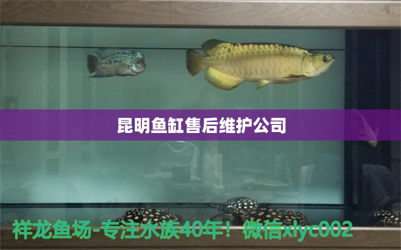 昆明魚缸售后維護(hù)公司