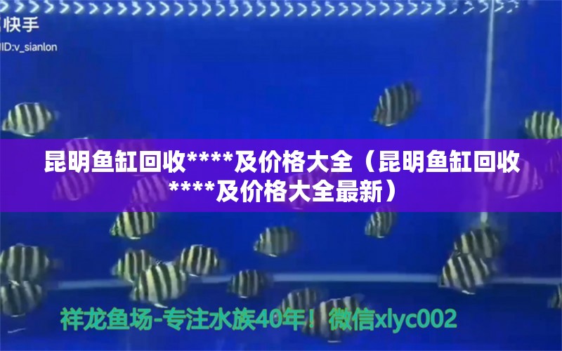 昆明魚缸回收****及價格大全（昆明魚缸回收****及價格大全最新） 祥龍水族醫(yī)院