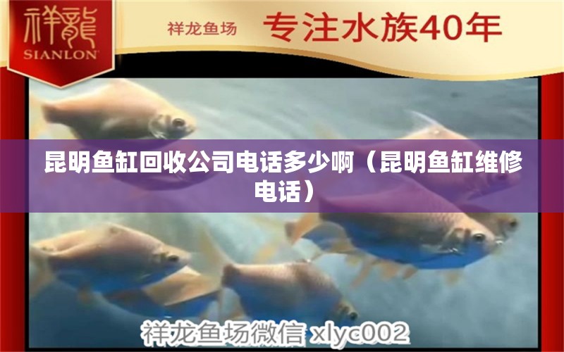 昆明魚缸回收公司電話多少?。ɡッ黥~缸維修電話）