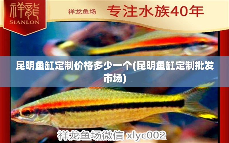 昆明魚缸定制價格多少一個(昆明魚缸定制批發(fā)市場)