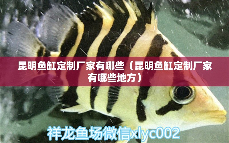 昆明魚缸定制廠家有哪些（昆明魚缸定制廠家有哪些地方）