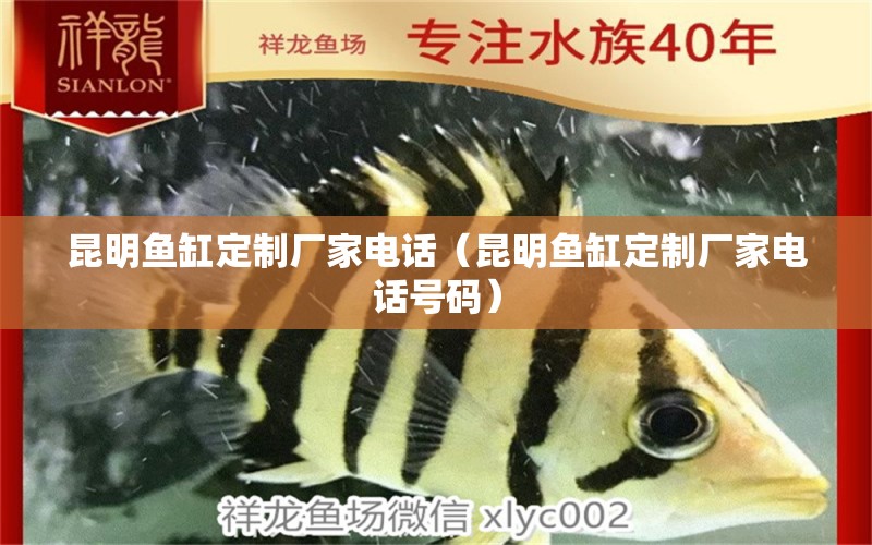 昆明魚缸定制廠家電話（昆明魚缸定制廠家電話號碼）