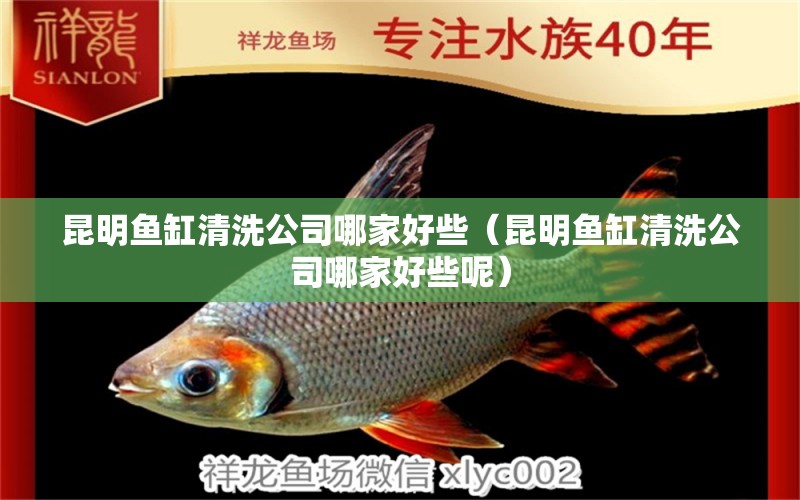 昆明魚缸清洗公司哪家好些（昆明魚缸清洗公司哪家好些呢） 虎斑恐龍魚