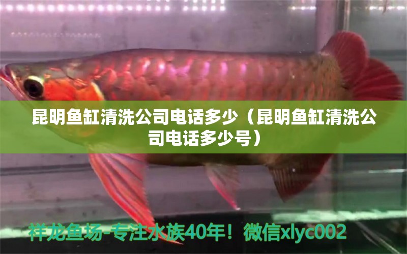 昆明魚缸清洗公司電話多少（昆明魚缸清洗公司電話多少號(hào)）