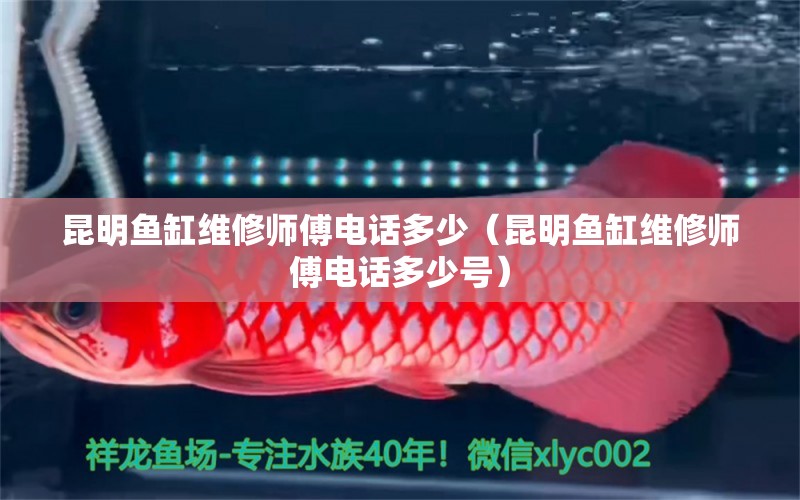 昆明魚缸維修師傅電話多少（昆明魚缸維修師傅電話多少號）