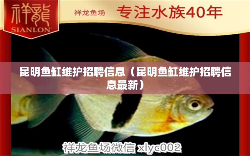 昆明魚缸維護招聘信息（昆明魚缸維護招聘信息最新）