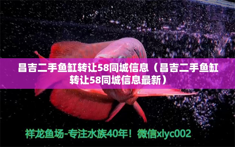 昌吉二手魚缸轉(zhuǎn)讓58同城信息（昌吉二手魚缸轉(zhuǎn)讓58同城信息最新） 其他品牌魚缸