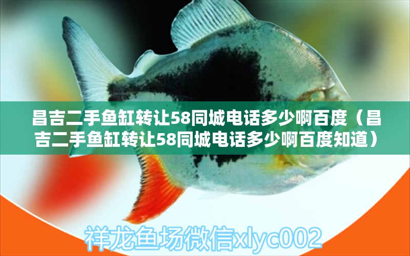 昌吉二手魚缸轉(zhuǎn)讓58同城電話多少啊百度（昌吉二手魚缸轉(zhuǎn)讓58同城電話多少啊百度知道）