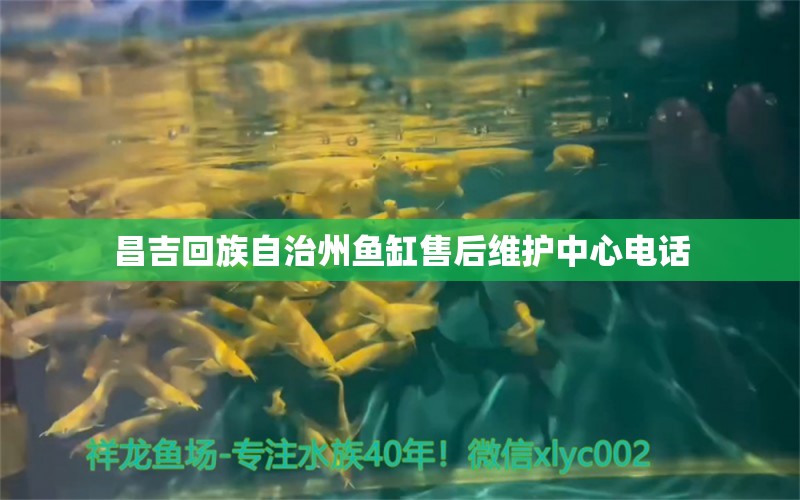 昌吉回族自治州魚缸售后維護中心電話 其他品牌魚缸