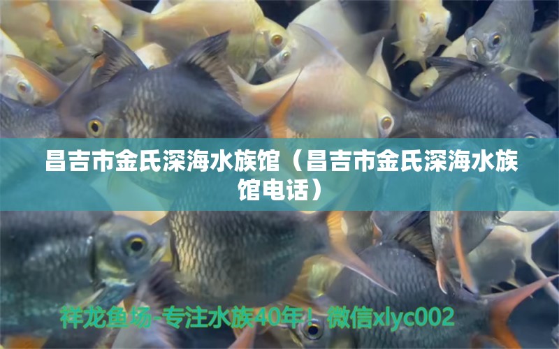 昌吉市金氏深海水族館（昌吉市金氏深海水族館電話）