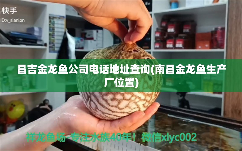 昌吉金龍魚公司電話地址查詢(南昌金龍魚生產(chǎn)廠位置) 白子黃化銀龍魚