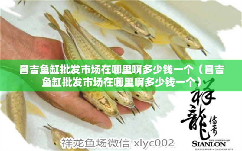 昌吉魚(yú)缸批發(fā)市場(chǎng)在哪里啊多少錢(qián)一個(gè)（昌吉魚(yú)缸批發(fā)市場(chǎng)在哪里啊多少錢(qián)一個(gè)）