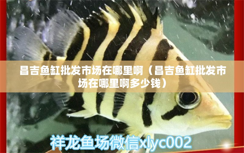 昌吉魚(yú)缸批發(fā)市場(chǎng)在哪里?。ú~(yú)缸批發(fā)市場(chǎng)在哪里啊多少錢(qián)）