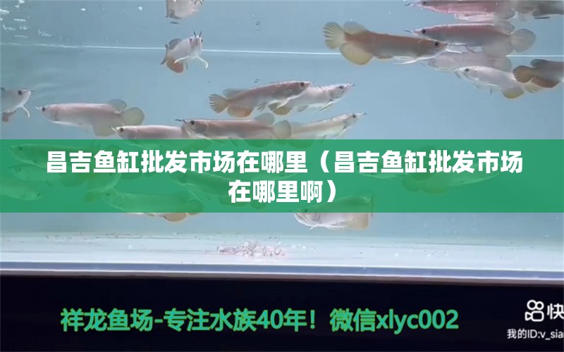 昌吉魚(yú)缸批發(fā)市場(chǎng)在哪里（昌吉魚(yú)缸批發(fā)市場(chǎng)在哪里?。? title=