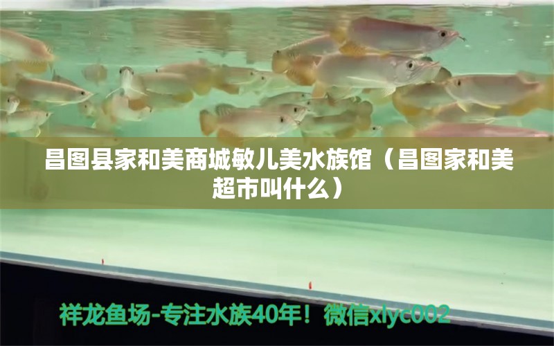 昌圖縣家和美商城敏兒美水族館（昌圖家和美超市叫什么）