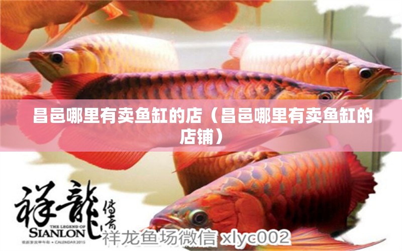 昌邑哪里有賣魚缸的店（昌邑哪里有賣魚缸的店鋪）