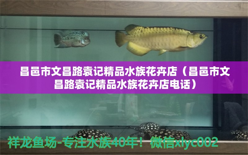 昌邑市文昌路袁記精品水族花卉店（昌邑市文昌路袁記精品水族花卉店電話）