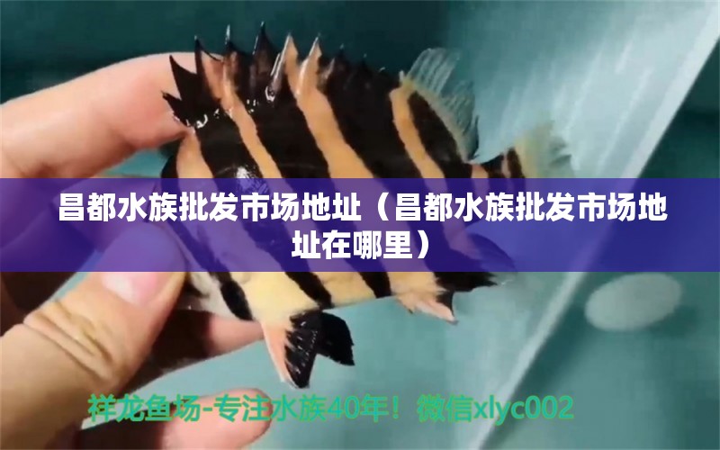 昌都水族批發(fā)市場(chǎng)地址（昌都水族批發(fā)市場(chǎng)地址在哪里）