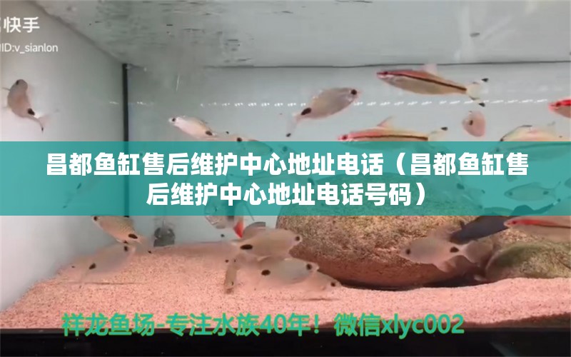 昌都魚缸售后維護(hù)中心地址電話（昌都魚缸售后維護(hù)中心地址電話號碼） 其他品牌魚缸