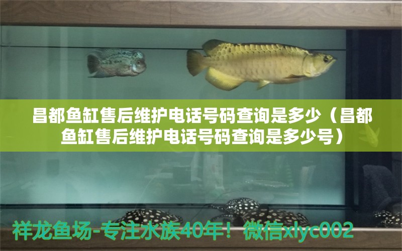 昌都魚缸售后維護(hù)電話號碼查詢是多少（昌都魚缸售后維護(hù)電話號碼查詢是多少號）