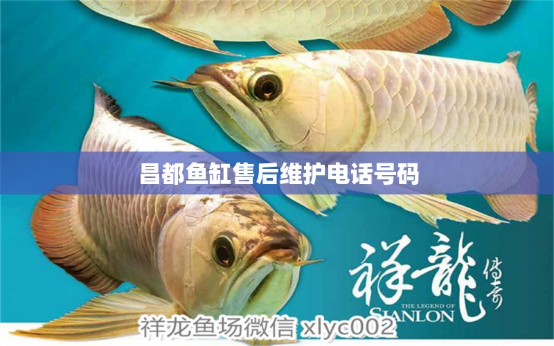 昌都魚缸售后維護電話號碼 其他品牌魚缸