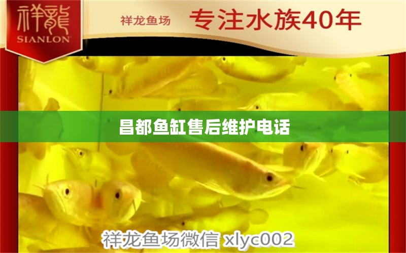 昌都魚(yú)缸售后維護(hù)電話 其他品牌魚(yú)缸