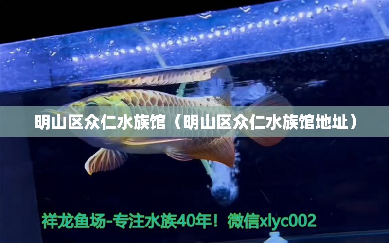 明山區(qū)眾仁水族館（明山區(qū)眾仁水族館地址） 全國水族館企業(yè)名錄