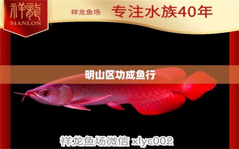 明山區(qū)功成魚行