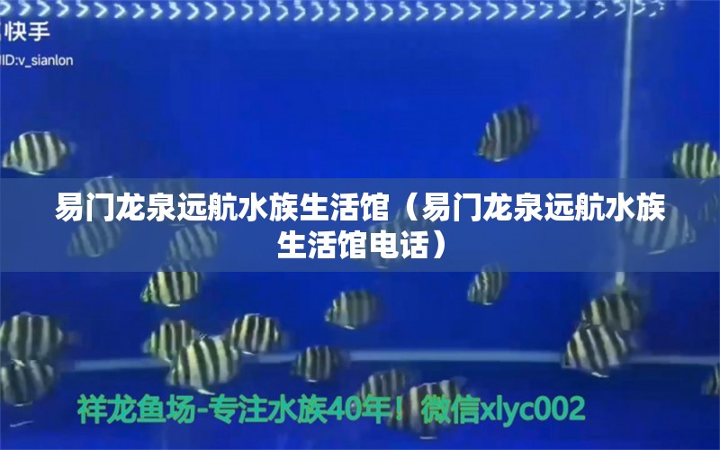 易門(mén)龍泉遠(yuǎn)航水族生活館（易門(mén)龍泉遠(yuǎn)航水族生活館電話） 全國(guó)水族館企業(yè)名錄