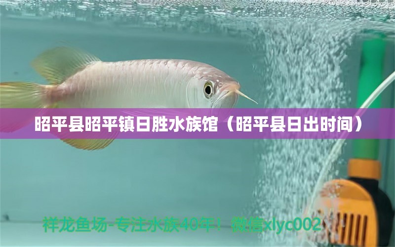 昭平縣昭平鎮(zhèn)日勝水族館（昭平縣日出時間） 全國水族館企業(yè)名錄