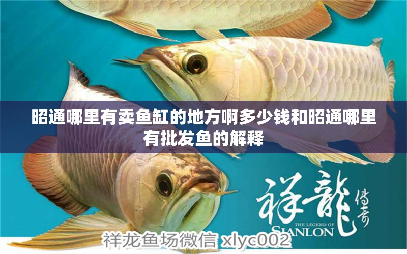 昭通哪里有賣魚缸的地方啊多少錢和昭通哪里有批發(fā)魚的解釋 龍魚批發(fā)