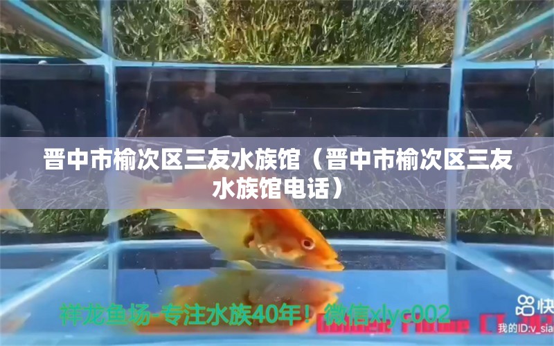 晉中市榆次區(qū)三友水族館（晉中市榆次區(qū)三友水族館電話） 全國(guó)水族館企業(yè)名錄