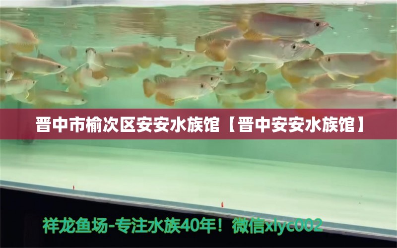 晉中市榆次區(qū)安安水族館【晉中安安水族館】 全國(guó)觀賞魚市場(chǎng) 第2張